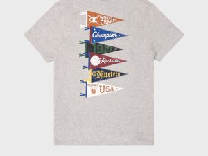 Champion Heritage Pennant Logo