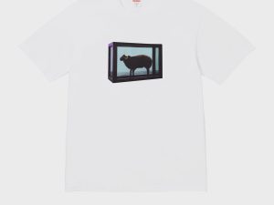 Supreme × Damien Hirst (White)